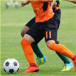 CELYS 퇴비화 가능한 라미네이트 원단